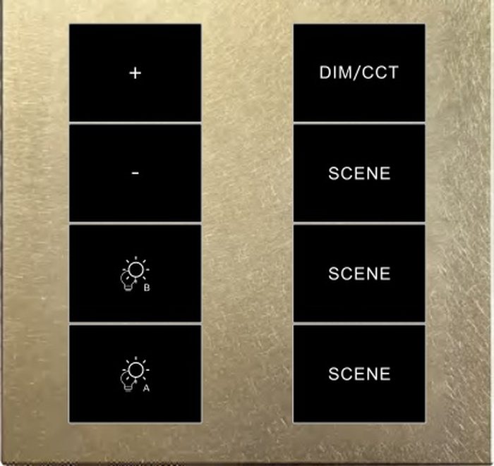 2 dimmer + DIM/CCT + 3 scene